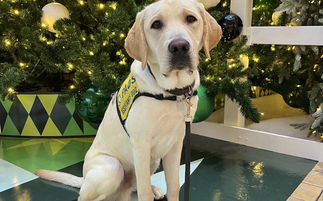 Blanco | November 2025