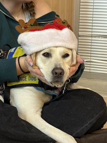 Rita | November 2025