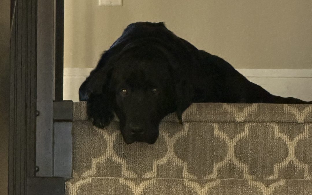 Arthur | November 2025