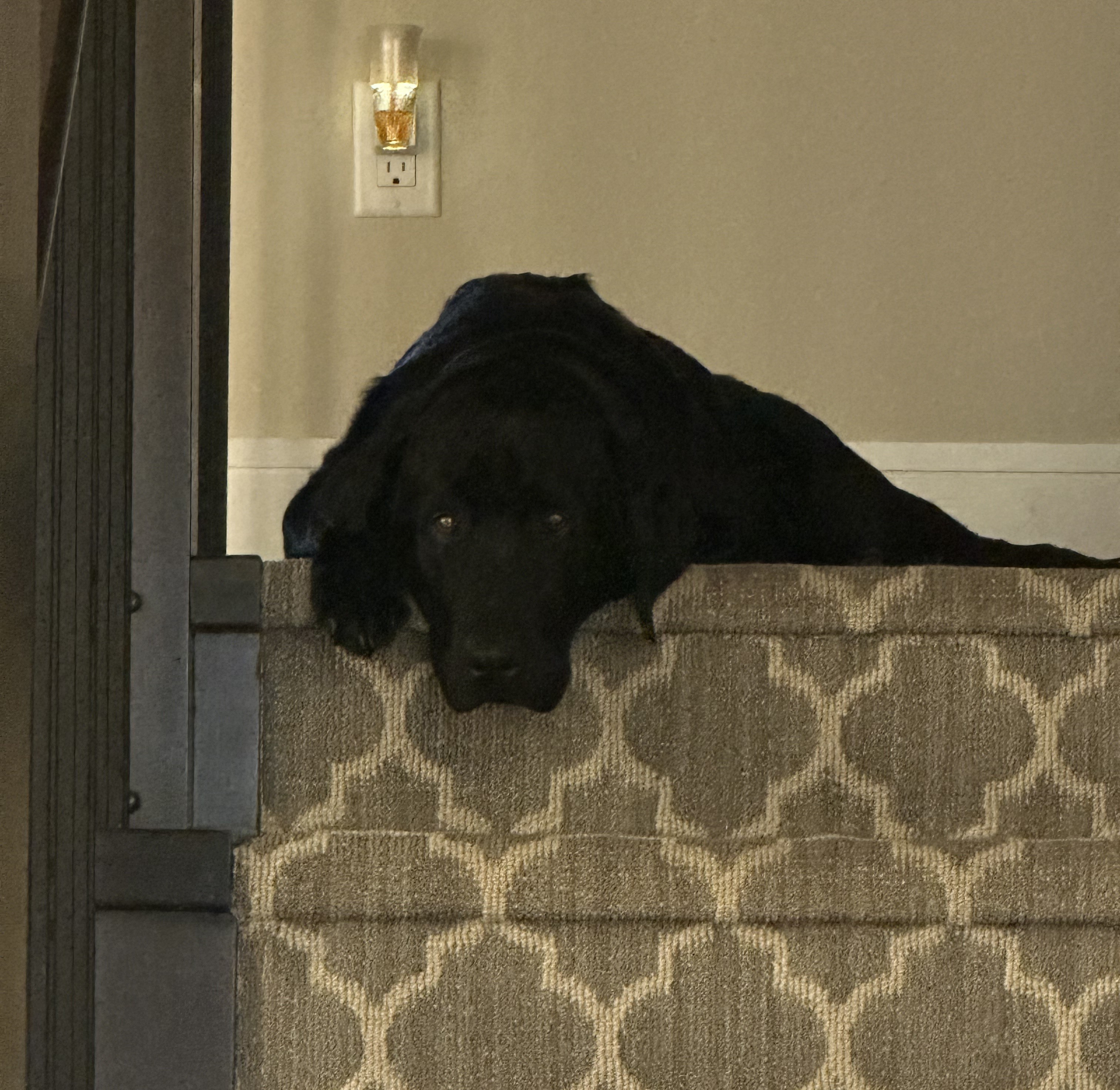 Arthur | November 2025