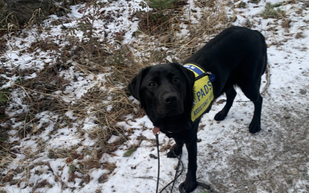 Belle IV | December 2025