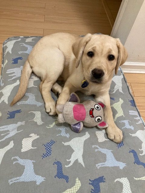 Bryn II | November 2025