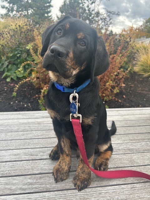 Eddie III | November 2025