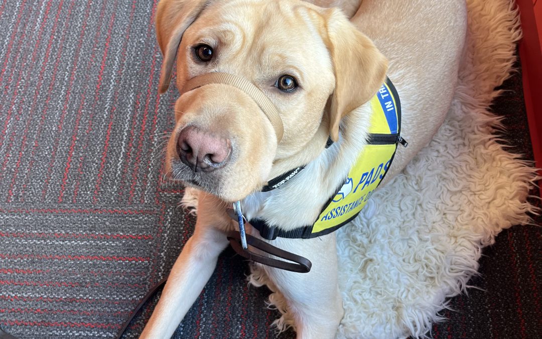 Allen | November 2025