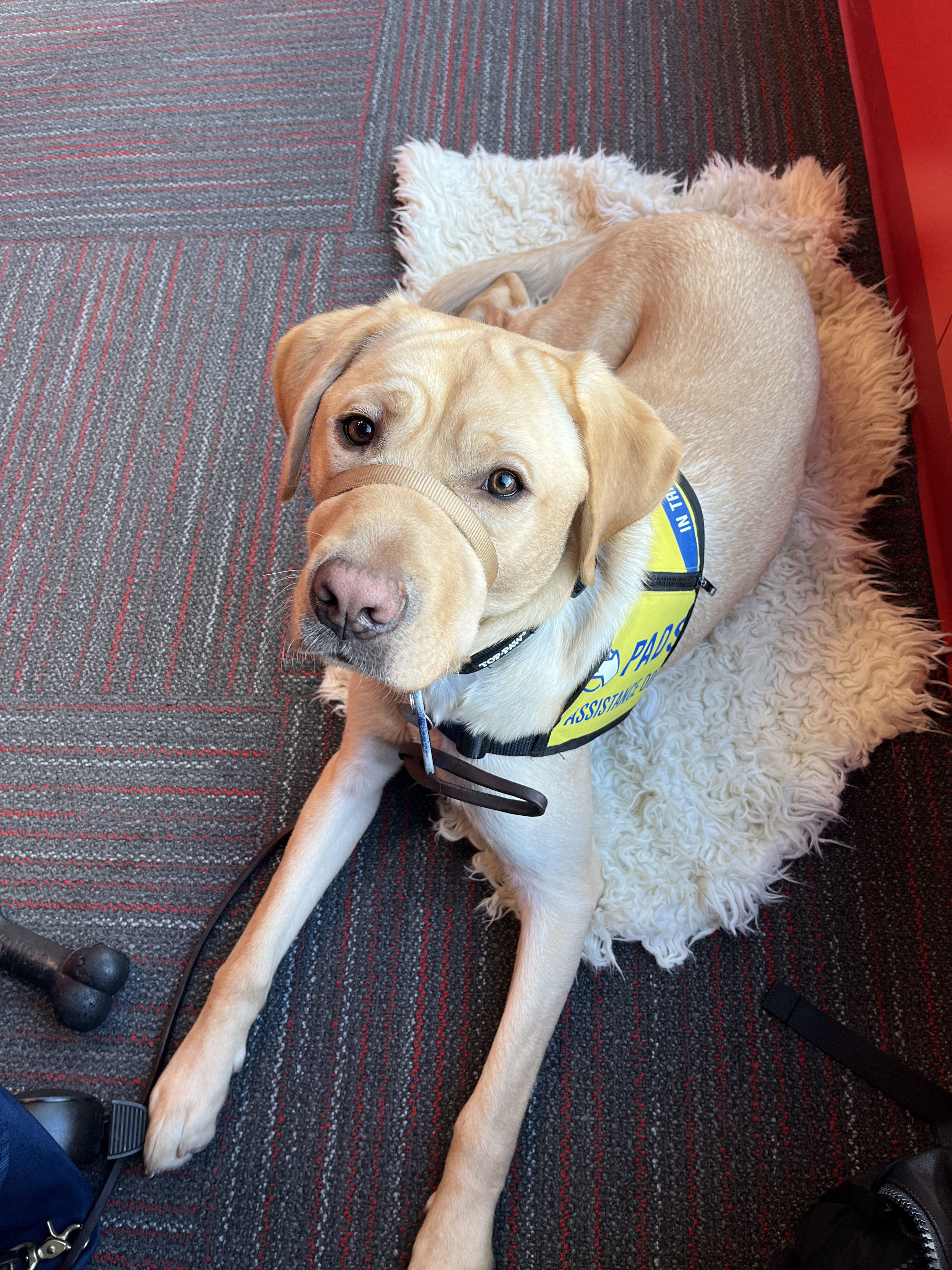 Allen | November 2025