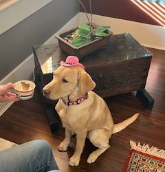 Andie | November 2025