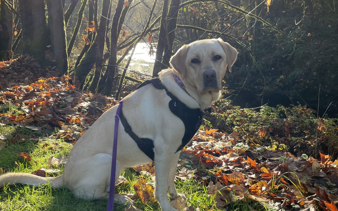 Keller | November 2025