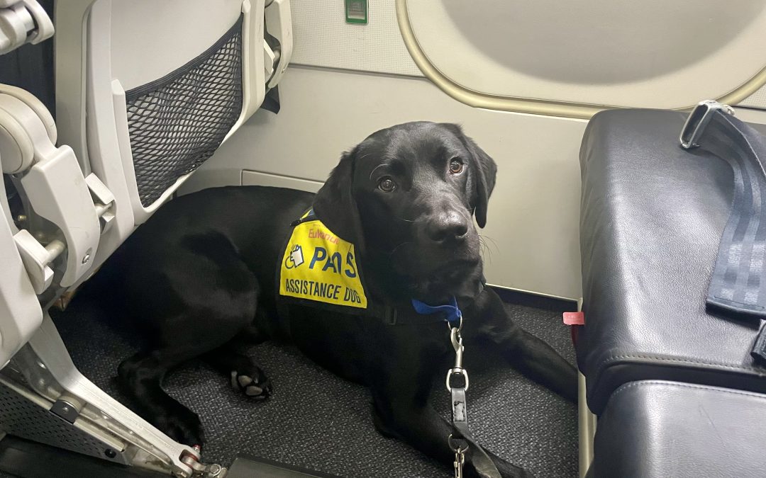 Toad | November 2025