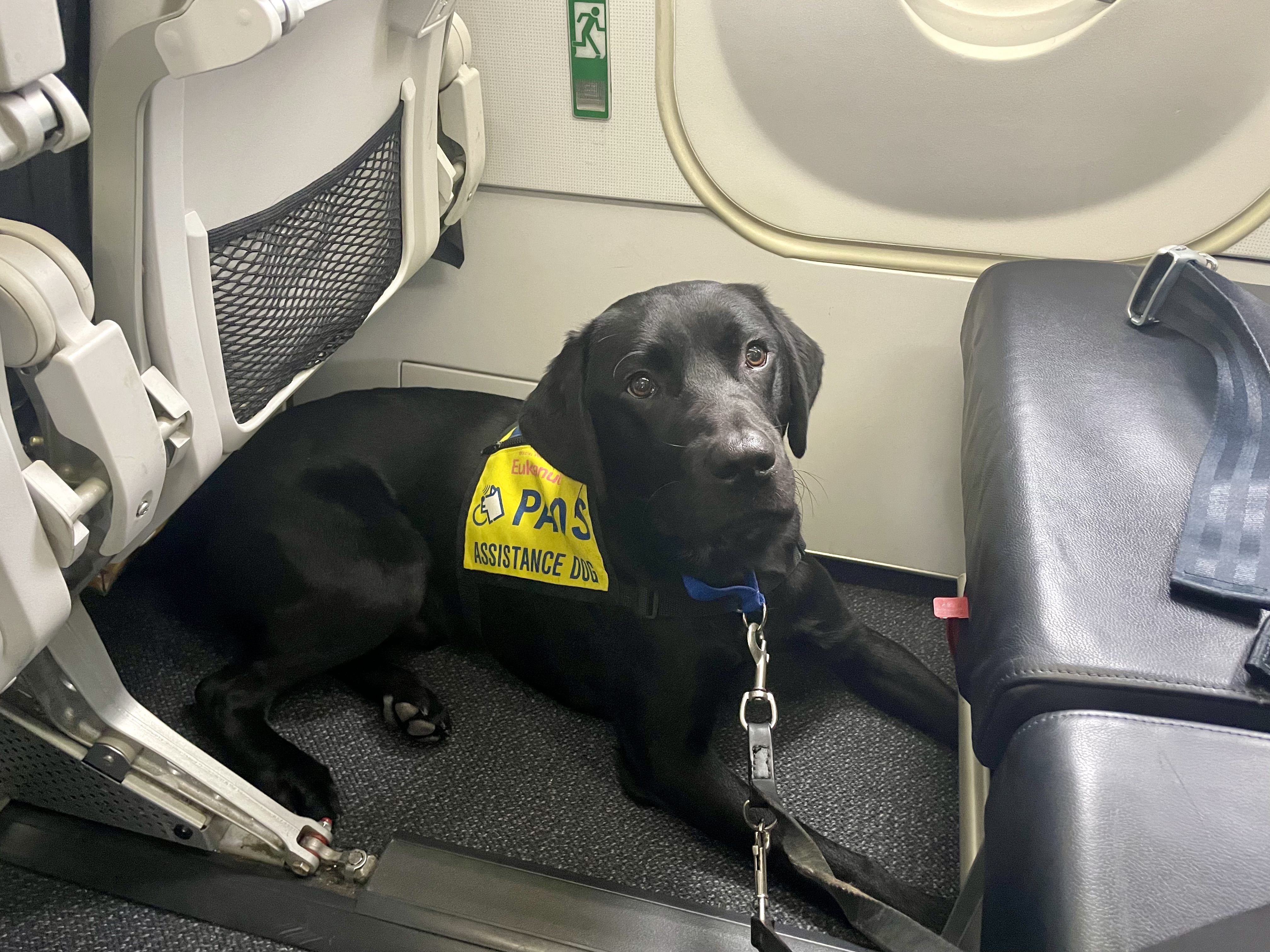 Toad | November 2025