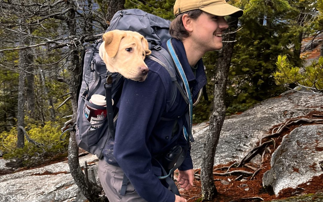 Bonnie II | November 2025