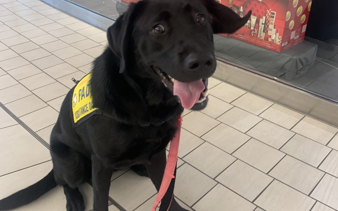 Belle IV | November 2025