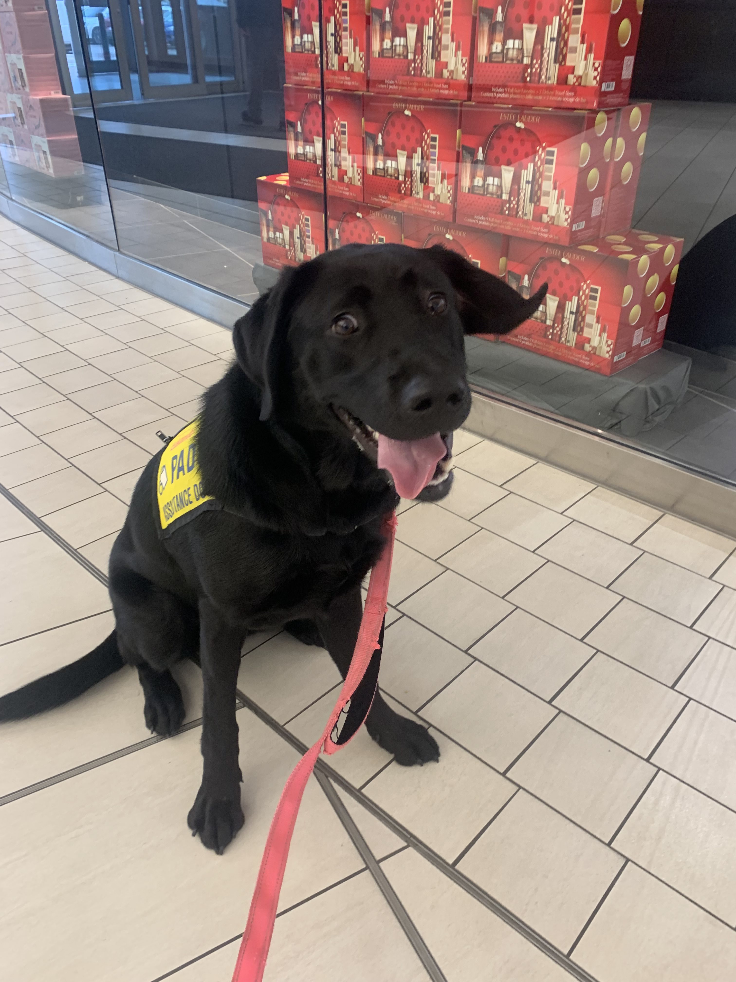 Belle IV | November 2025