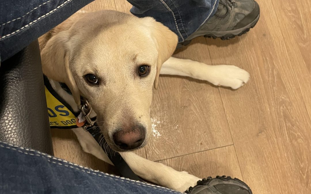 Sturko | November 2025