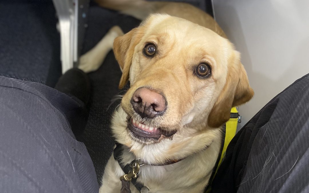 Korra | November 2025