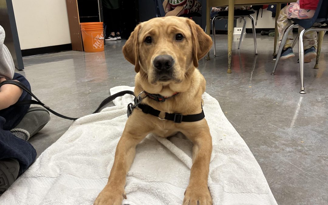 Grant | December 2025