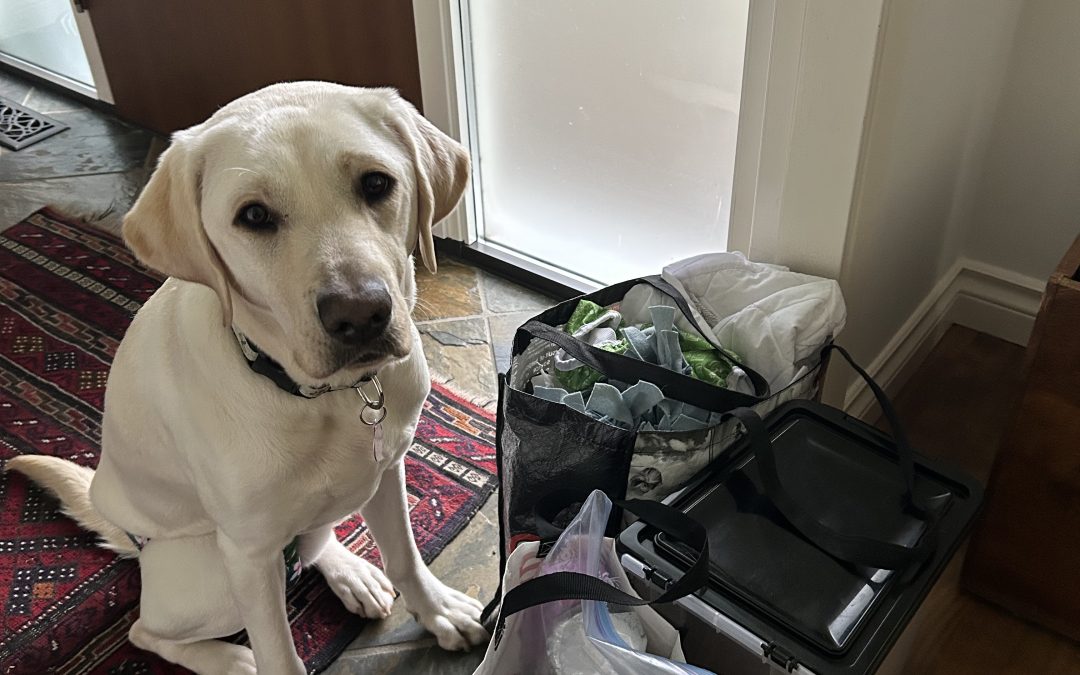 Mushu | November 2025