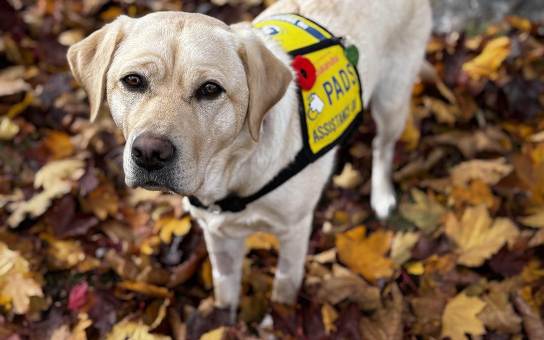 Skaha III | November 2025