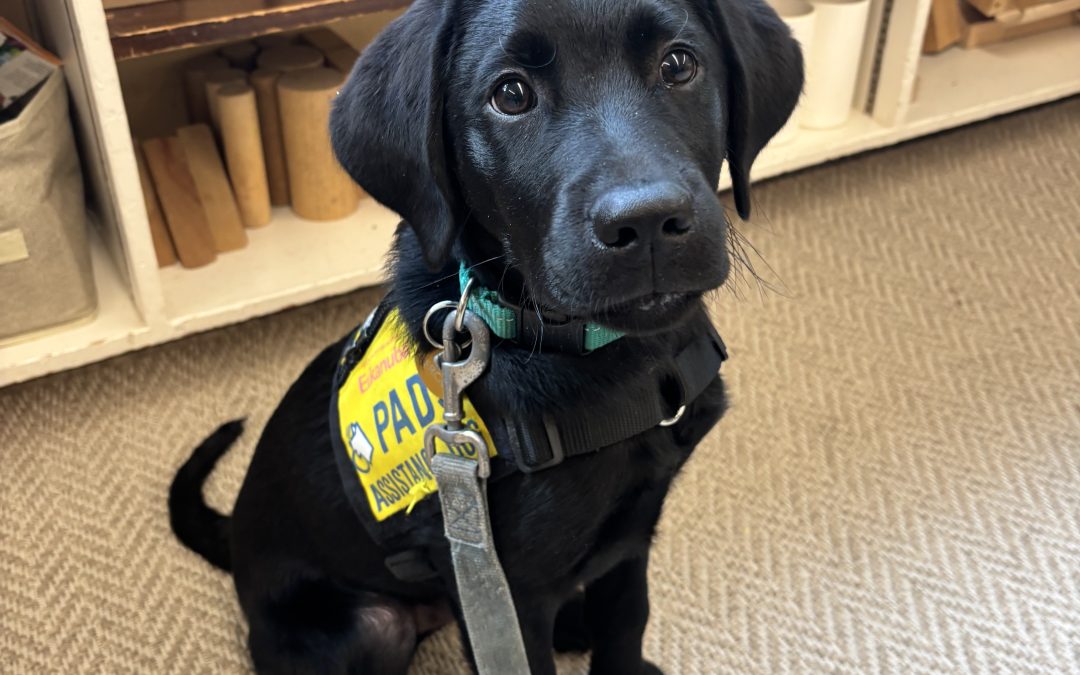 Fergus II | November 2025