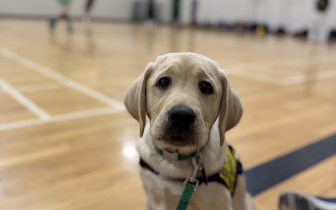 Riff | November 2025