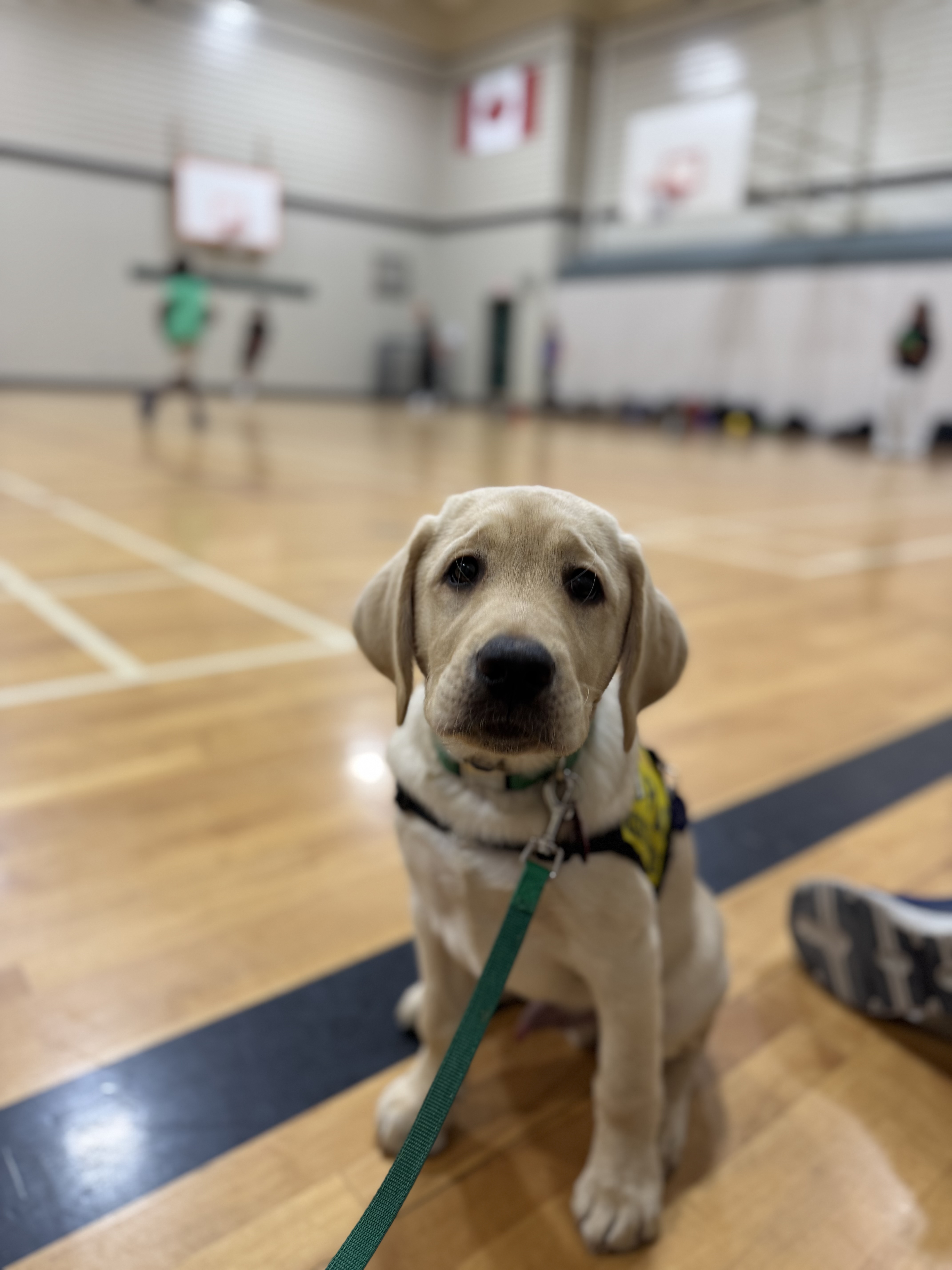 Riff | November 2025