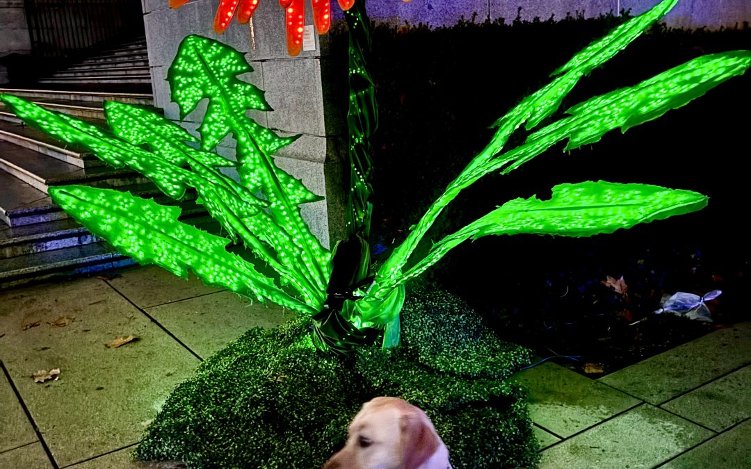 Teenie | November 2025