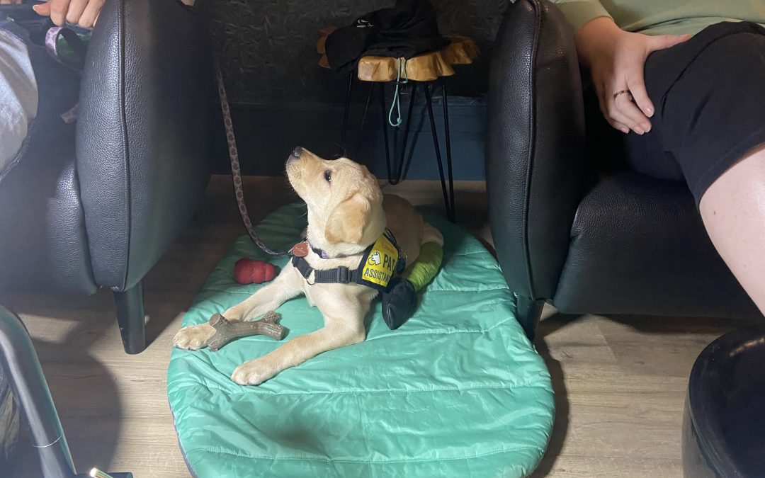 Chorcha | November 2025