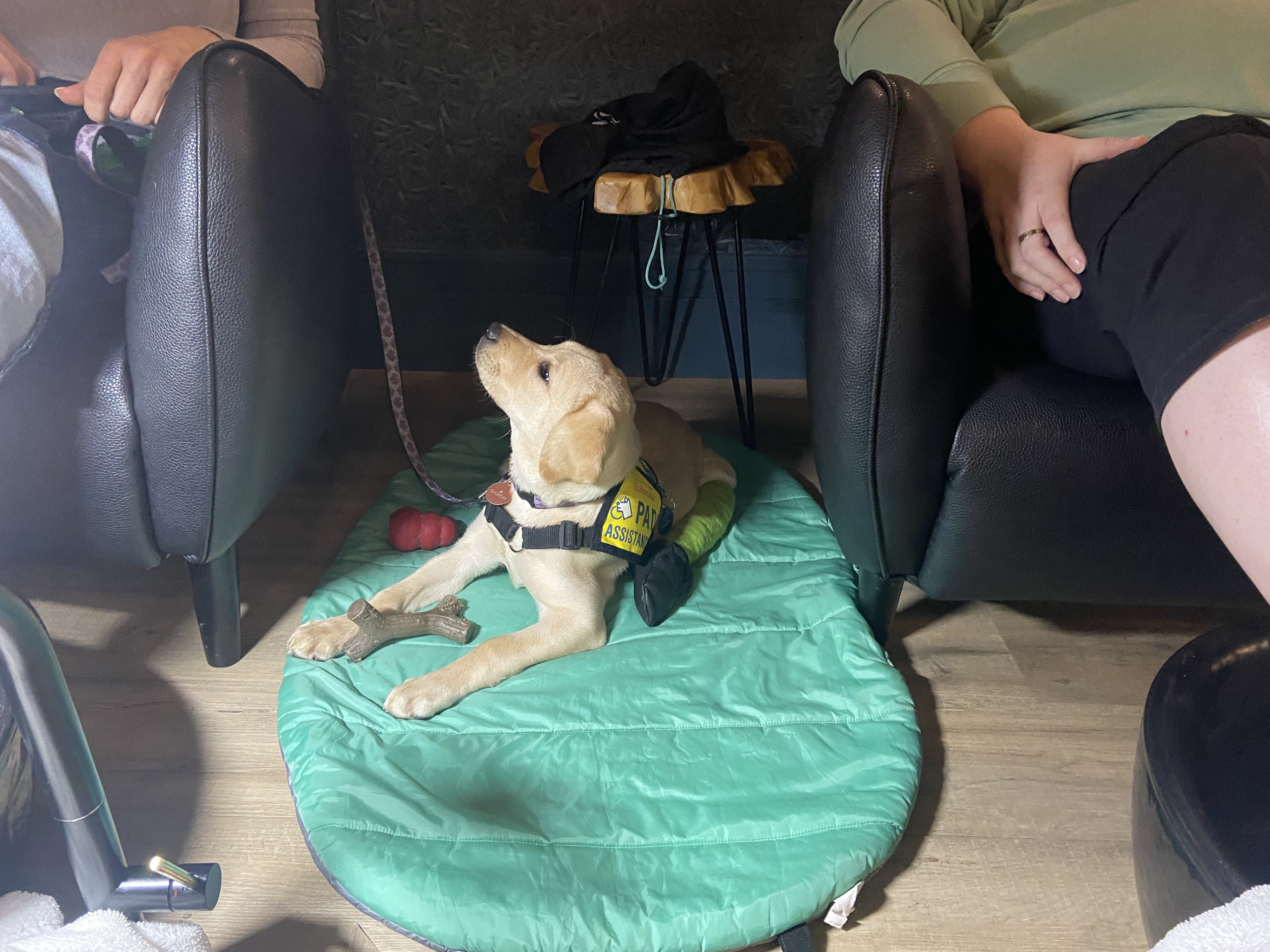 Chorcha | November 2025