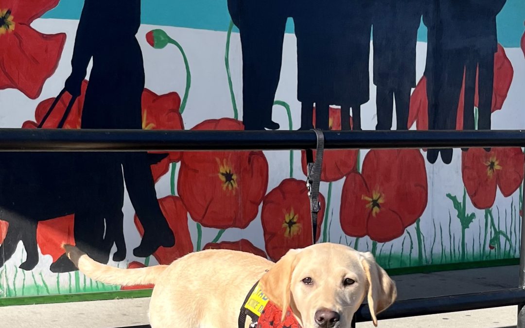 Fendie | November 2025