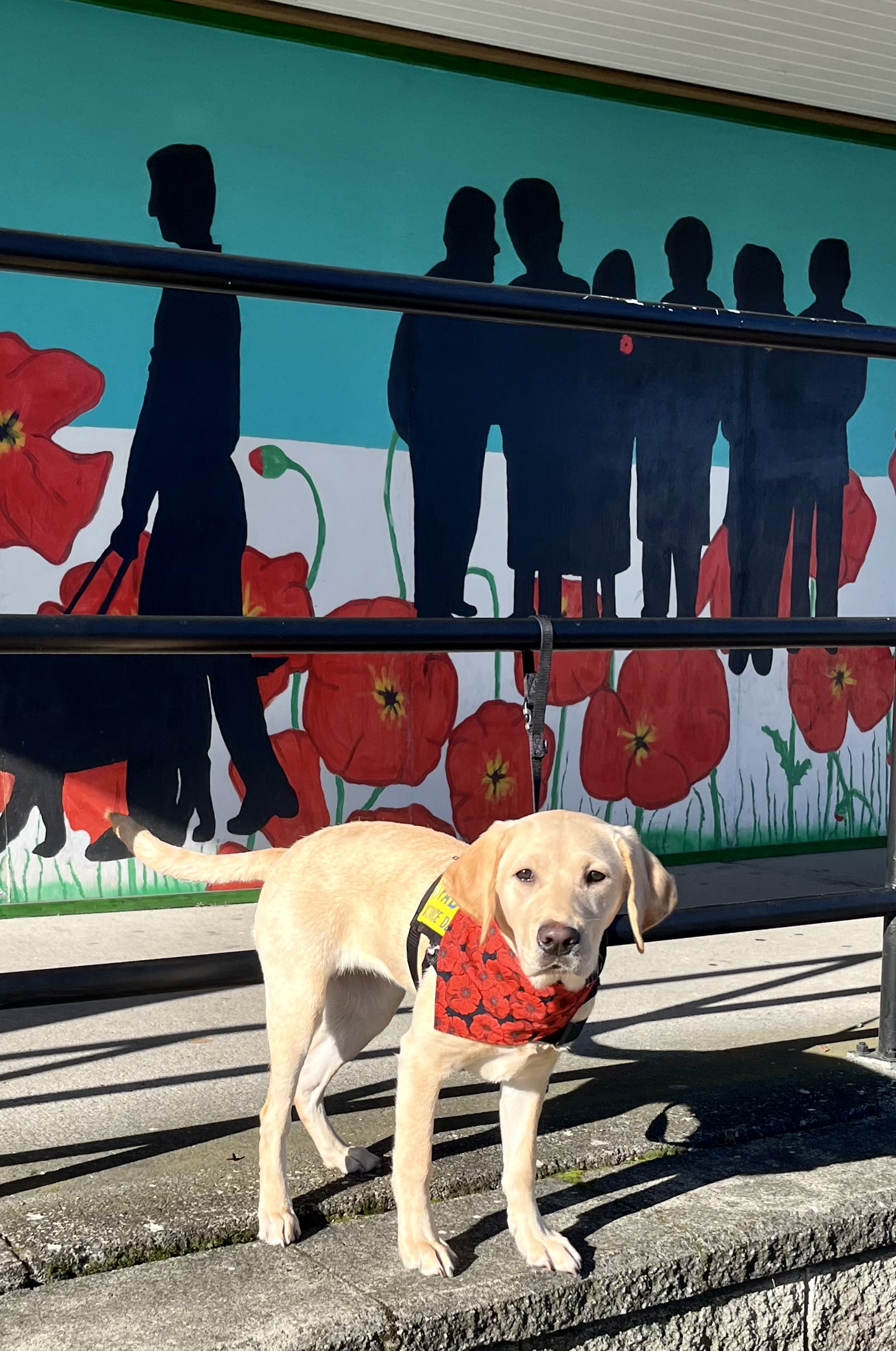 Fendie | November 2025