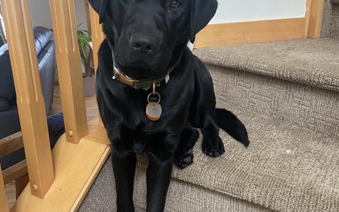 Coola | November 2025