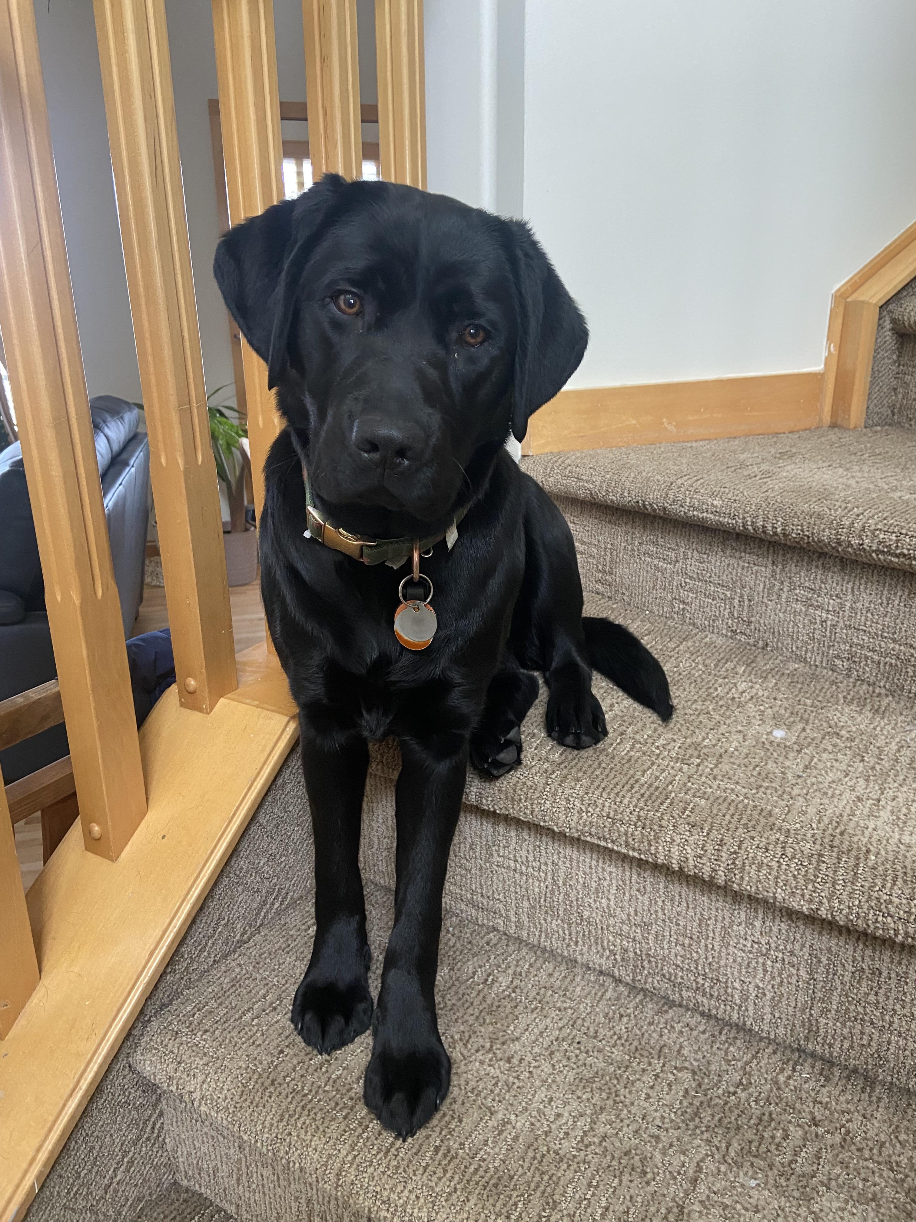 Coola | November 2025