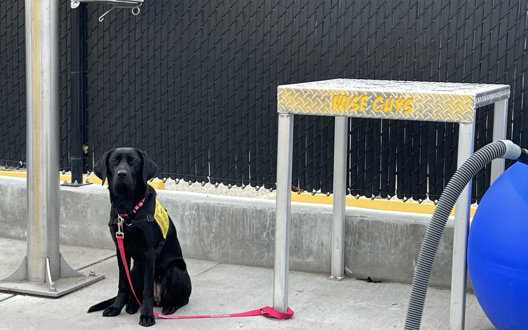 Tide | November 2025