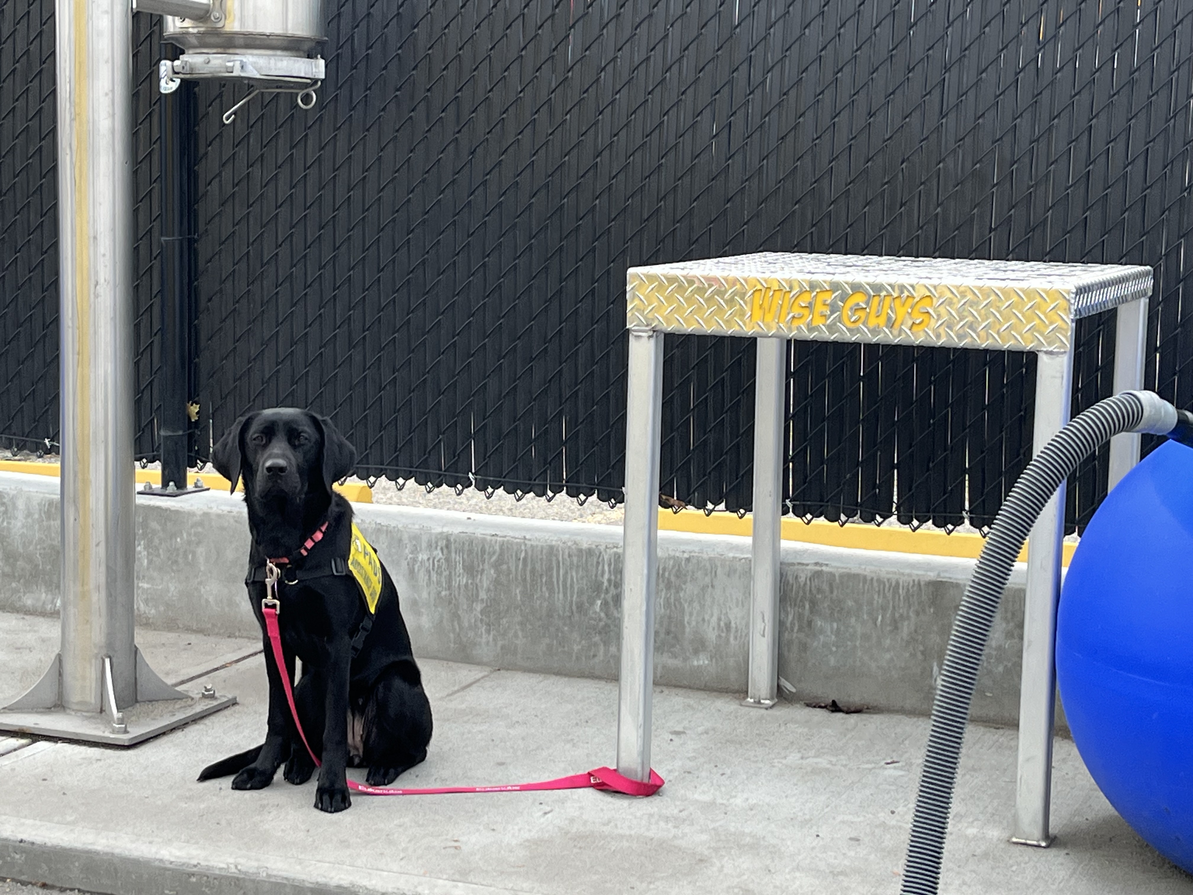 Tide | November 2025