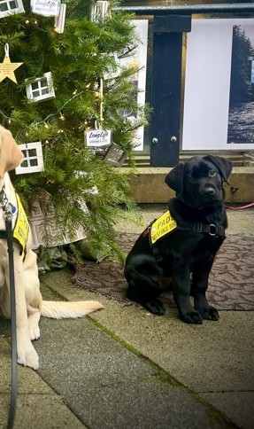 Imani | December 2025