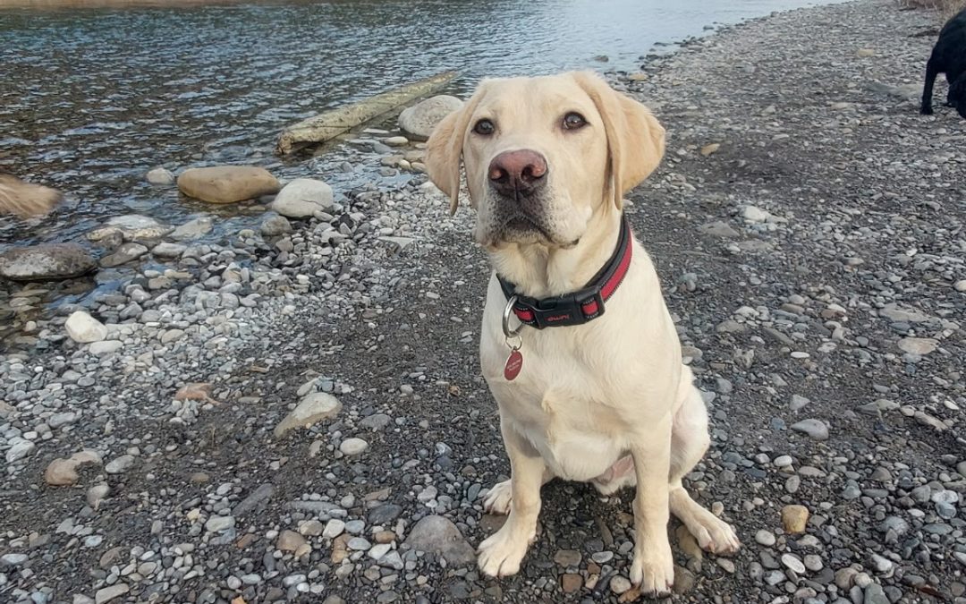 Jonsie | November 2025