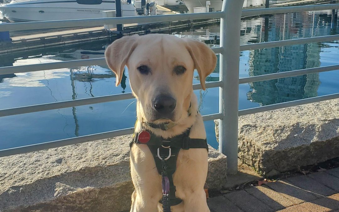 Kashtin | November 2025