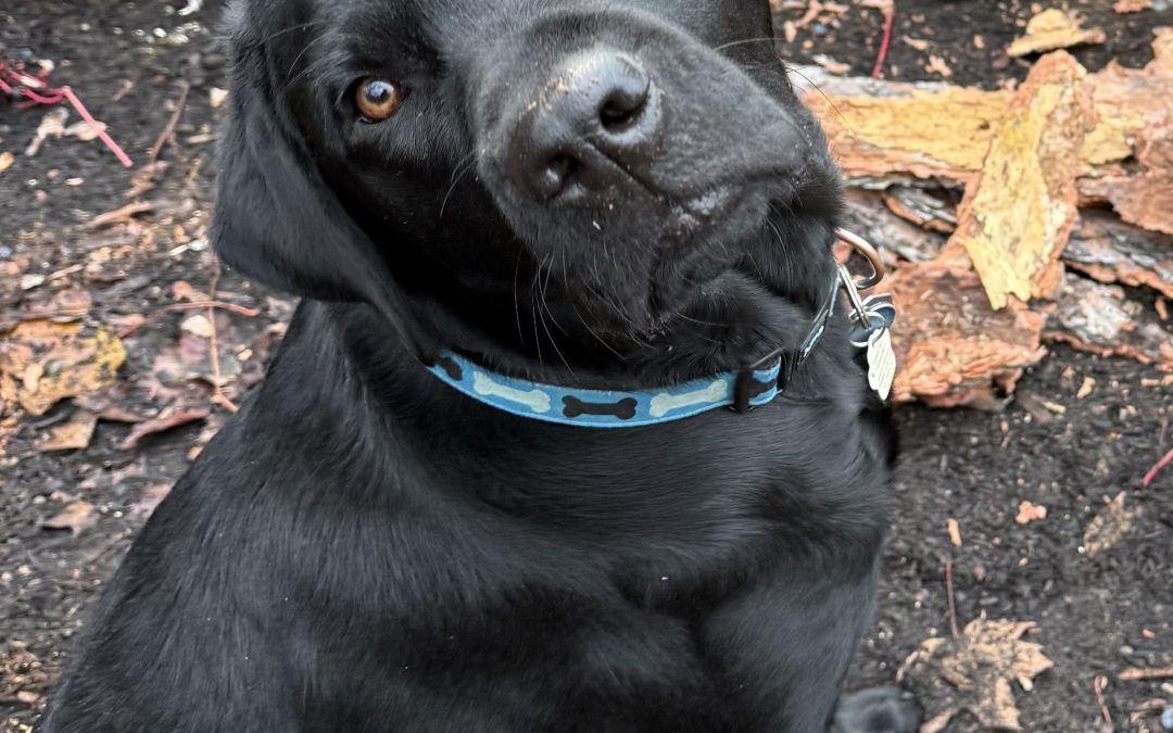 Milos | November 2025