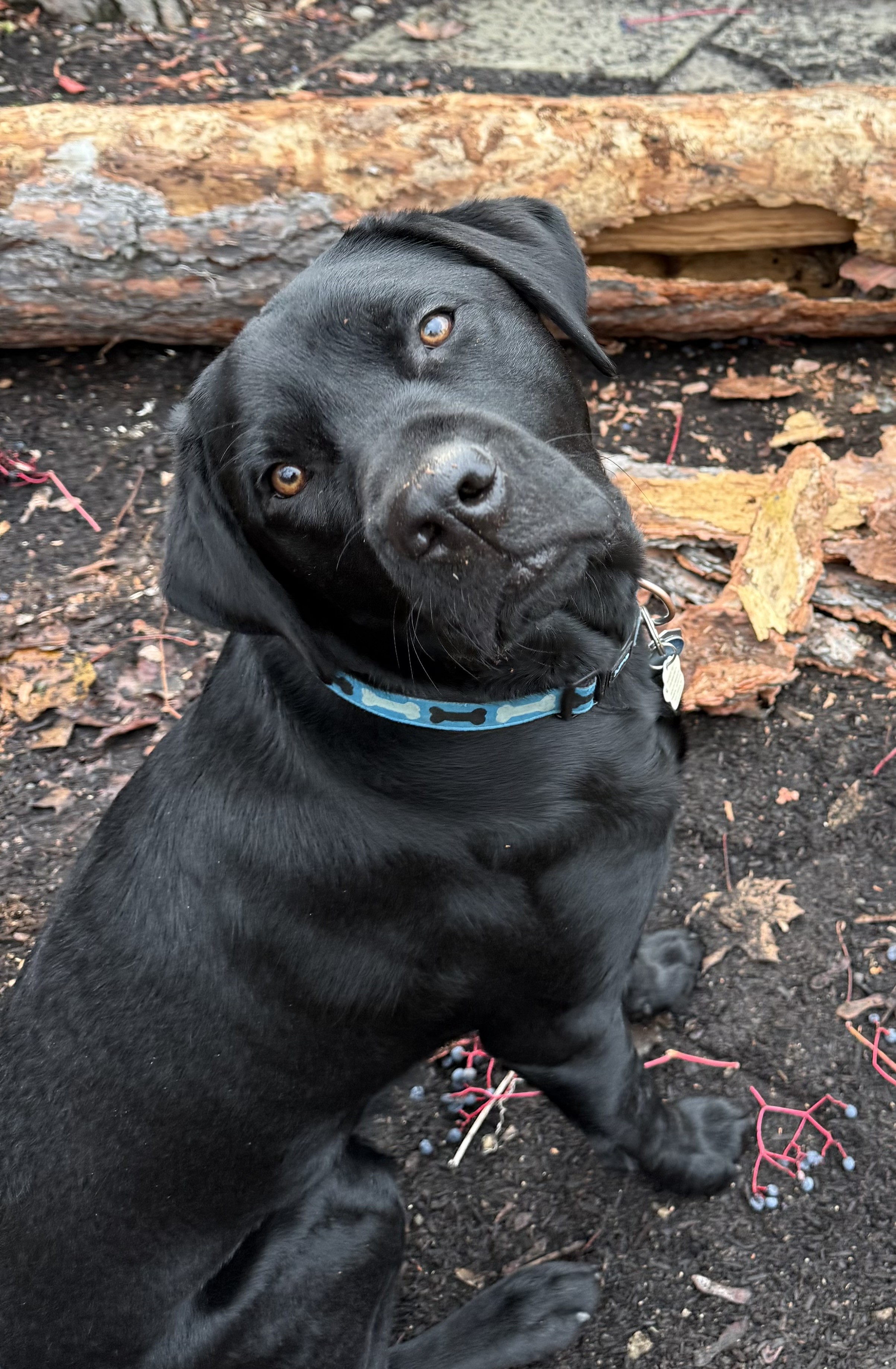 Milos | November 2025