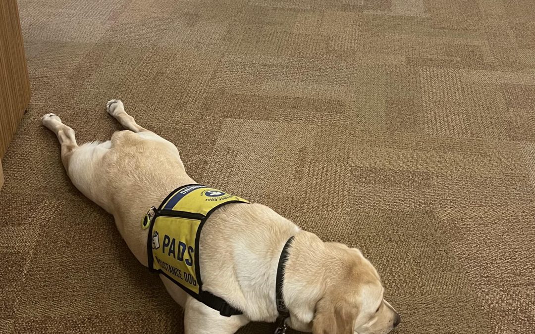 Minnie II | November 2025