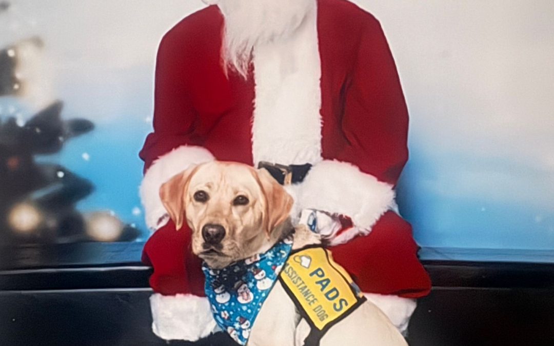 Mozza | November 2025