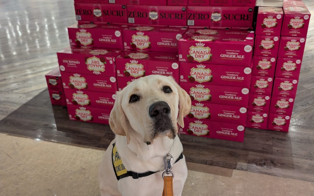 Smaug | November 2025