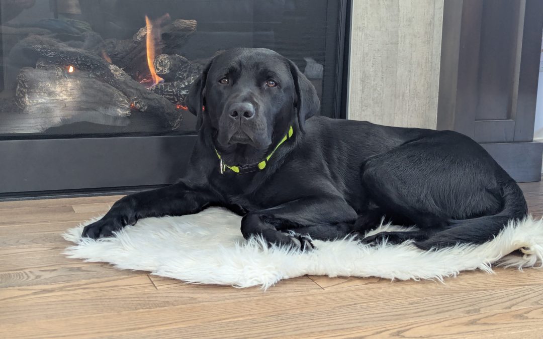 Hunter II | November 2025