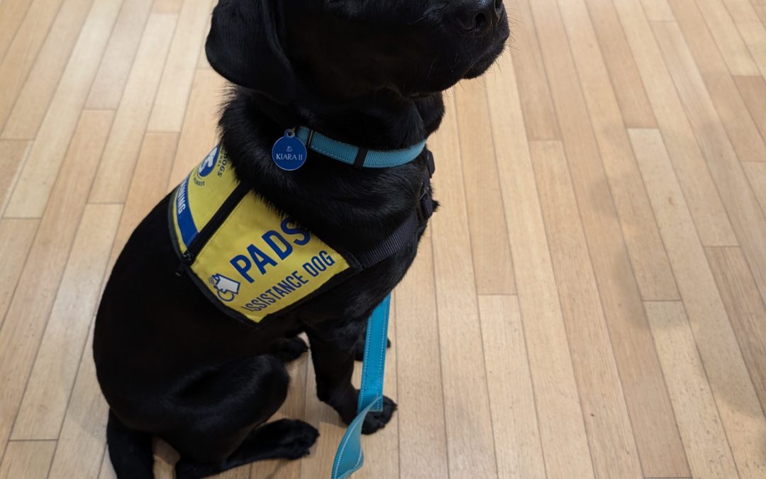 Kiara II | November 2025