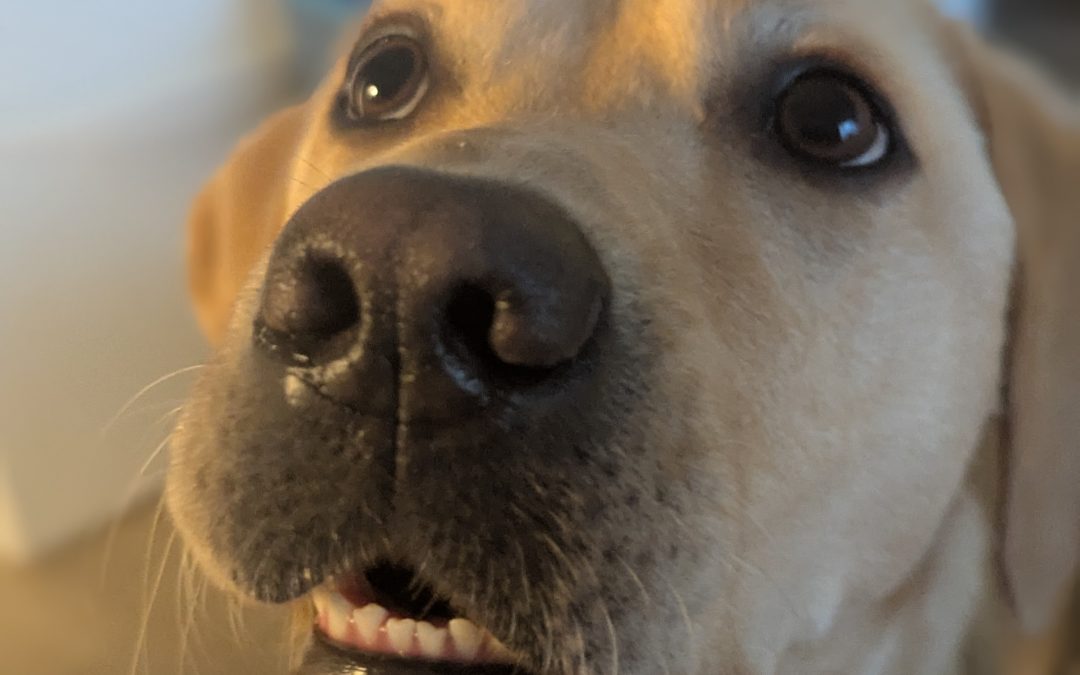 Patty | November 2025