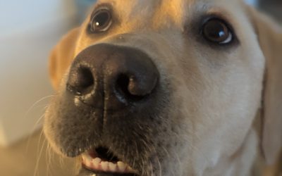 Patty | November 2025