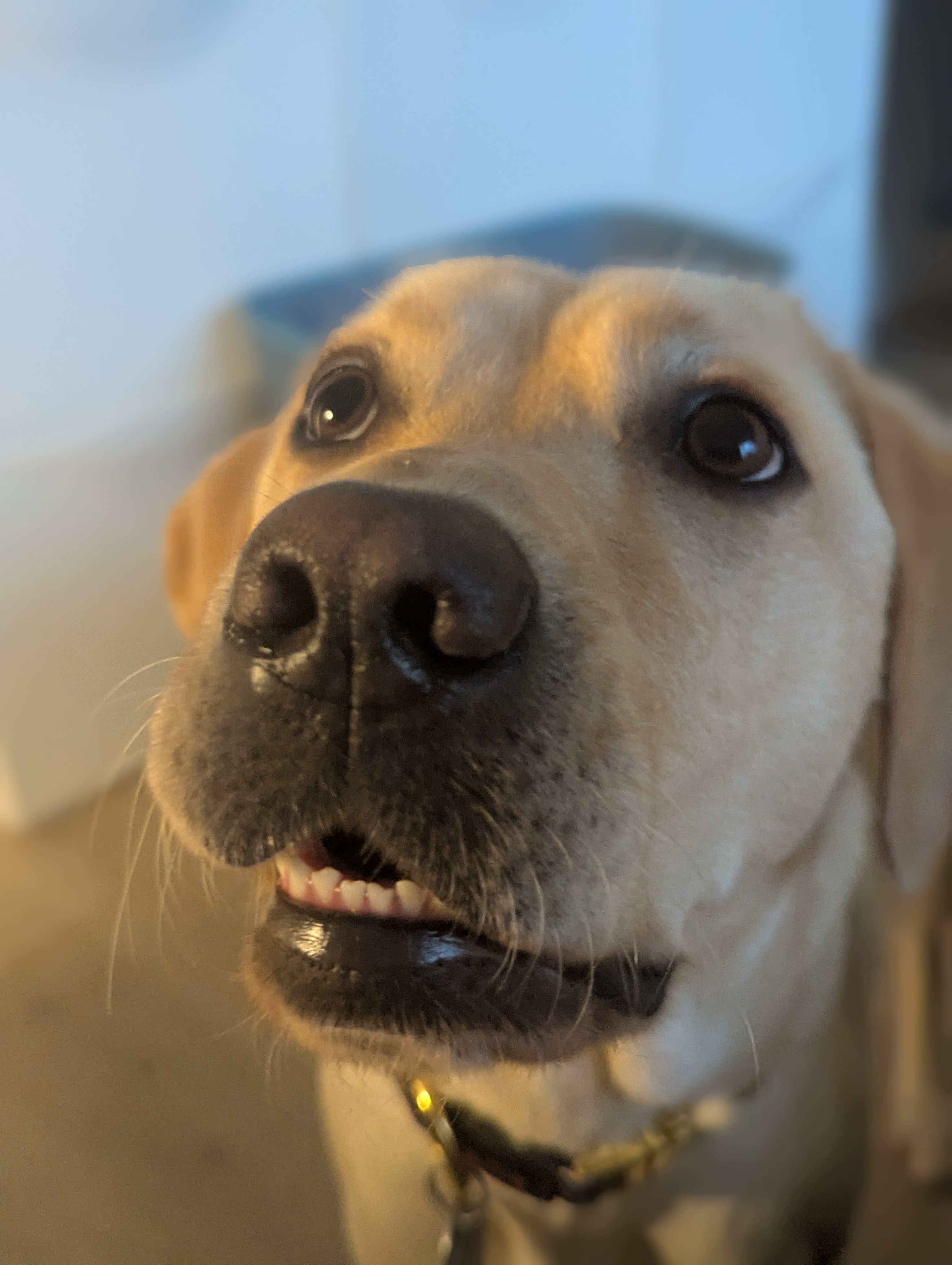 Patty | November 2025