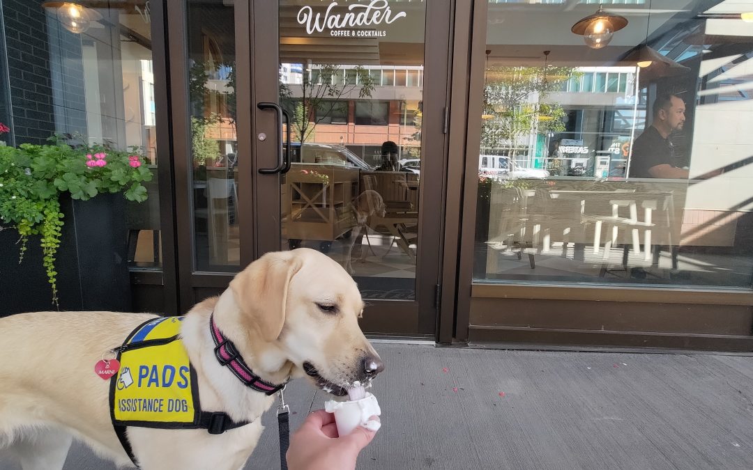 Marni | September 2025