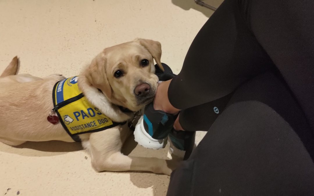 Marni | October 2025