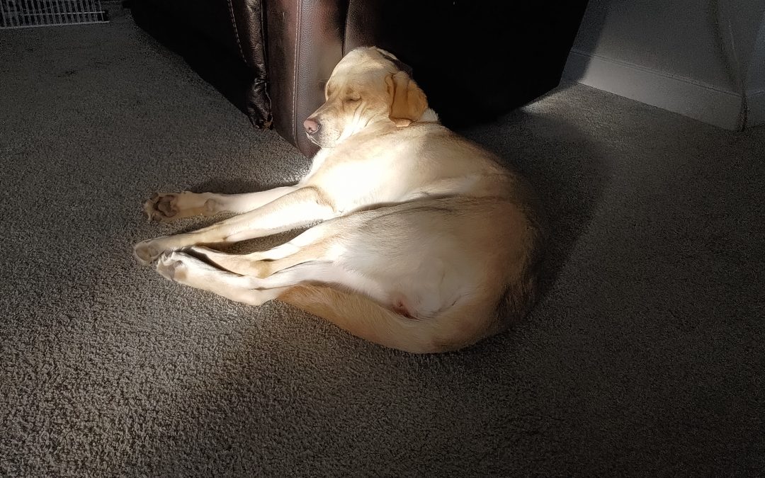 Marni | November 2025