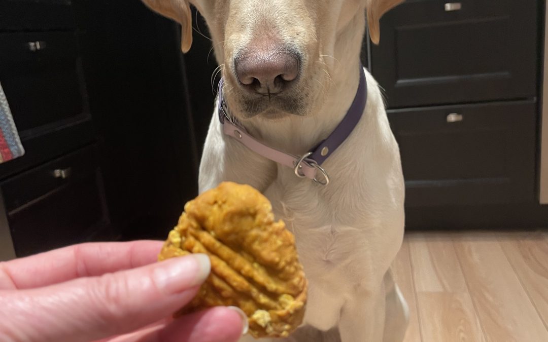 Saphira | November 2025